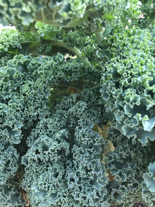 Fresh Organic Curly Kale