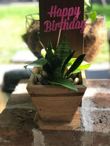 Happy Birthday Pot
